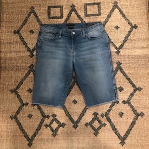 EUC Genetic Premium Denim Shorts